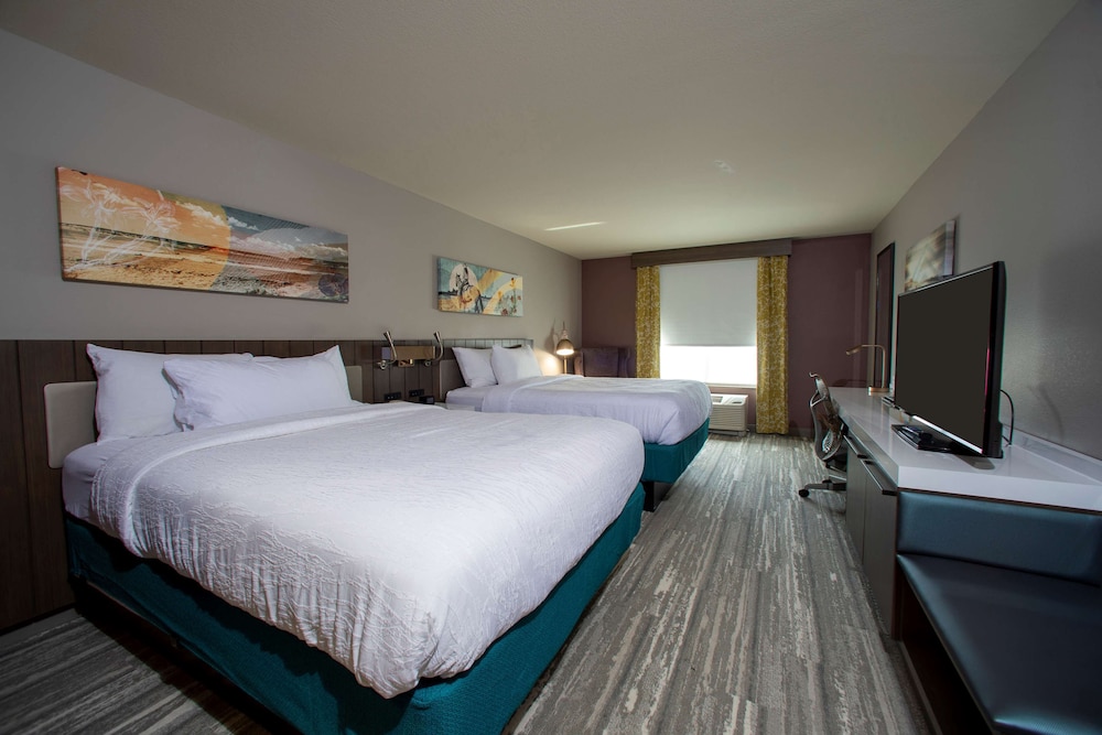 Hilton Garden Inn Rapid City - photo 18