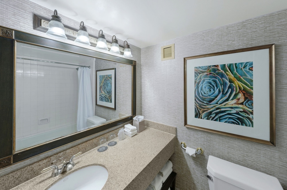 The Westin San Antonio North - photo 11