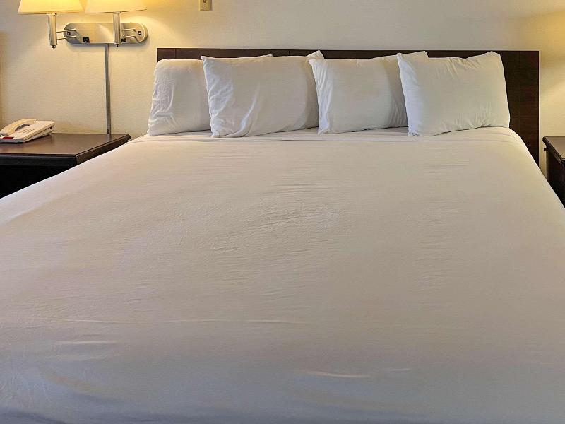 Econo Lodge San Angelo - photo 10