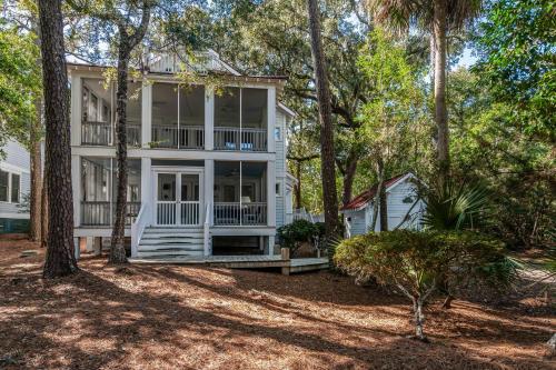 Shell Seeker in Unknown City, United States