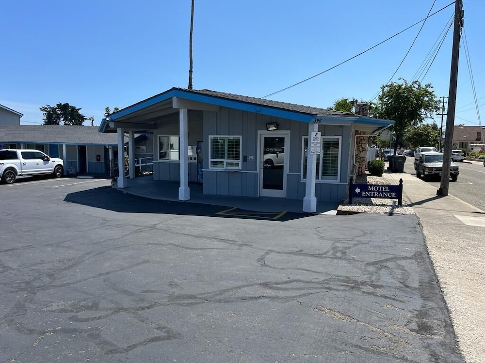 Ocean Palms Motel - photo 23