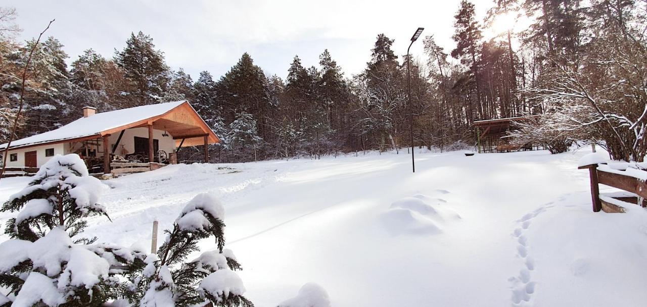 Agroturystyka Stara Huta — hotel in Narol