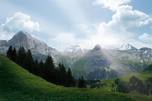 Adler Adelboden — Adelboden — photo 2