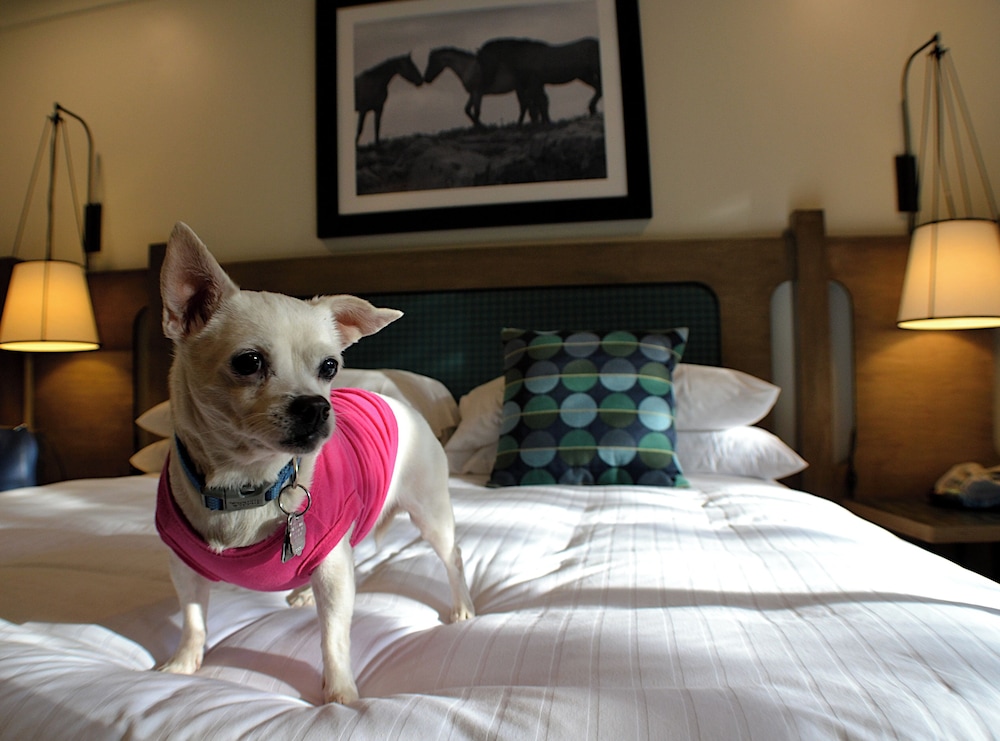 Hidden Valley Inn - photo 20