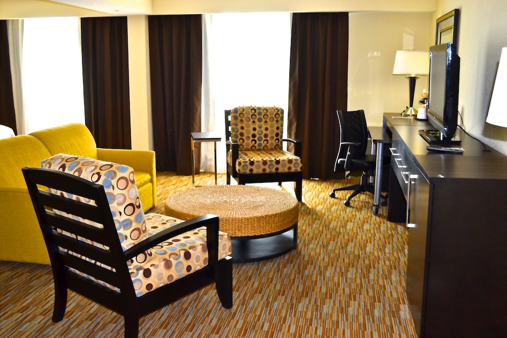 Holiday Inn Miami International Airport by IHG - photo 3