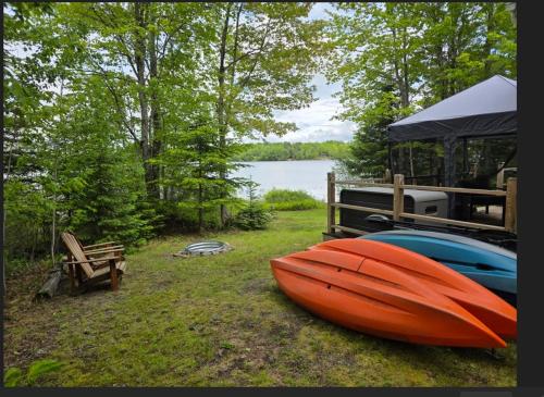 The Grand Loon — Otis — photo 4