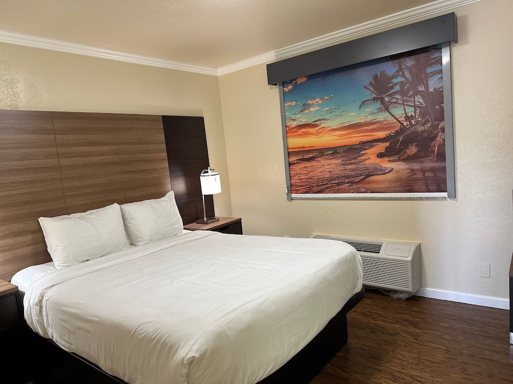 Beachwalker Inn and Suites - photo 6