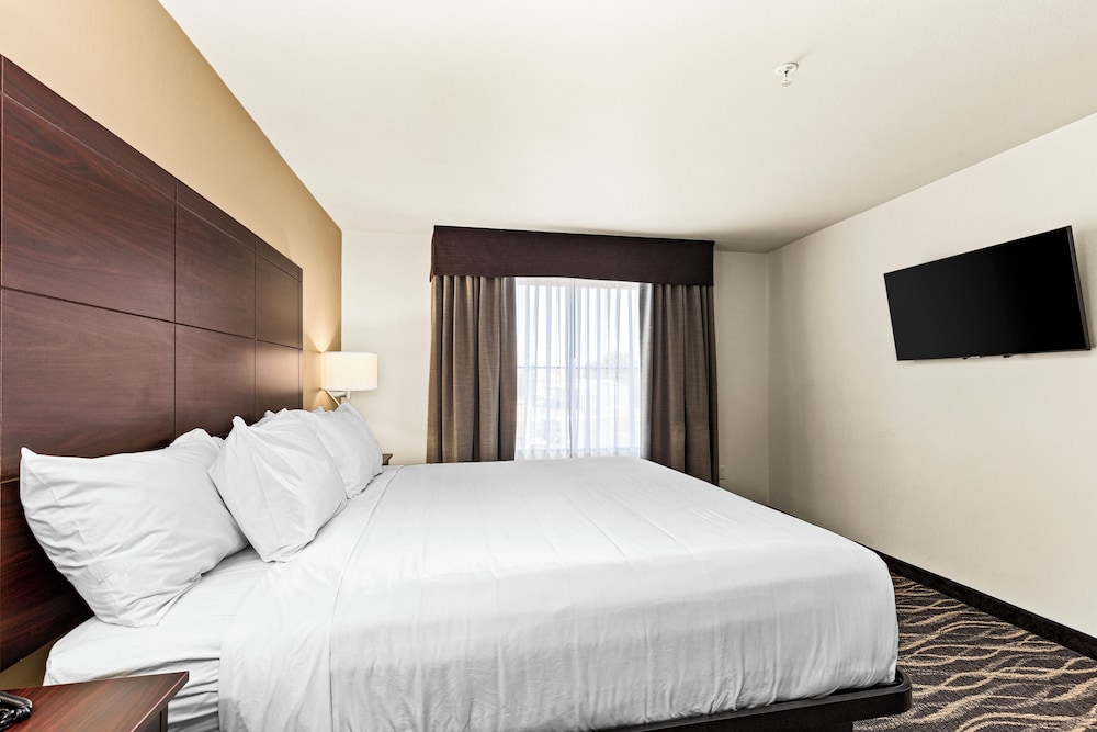 Cobblestone Hotel & Suites Ottumwa - photo 23