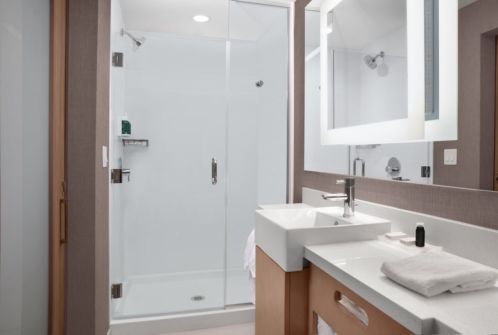 SpringHill Suites by Marriott Orlando Theme Parks Lake Buena Vista - photo 21