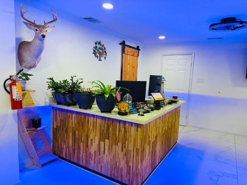 Lone Star Inn - photo 12