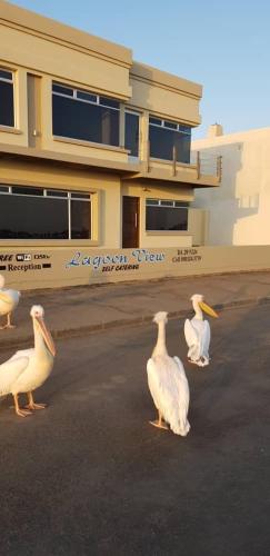 Lagoon View Self Catering — Walvis Bay — photo 2