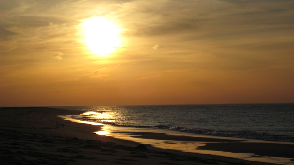 The Provincetown Inn - photo 31