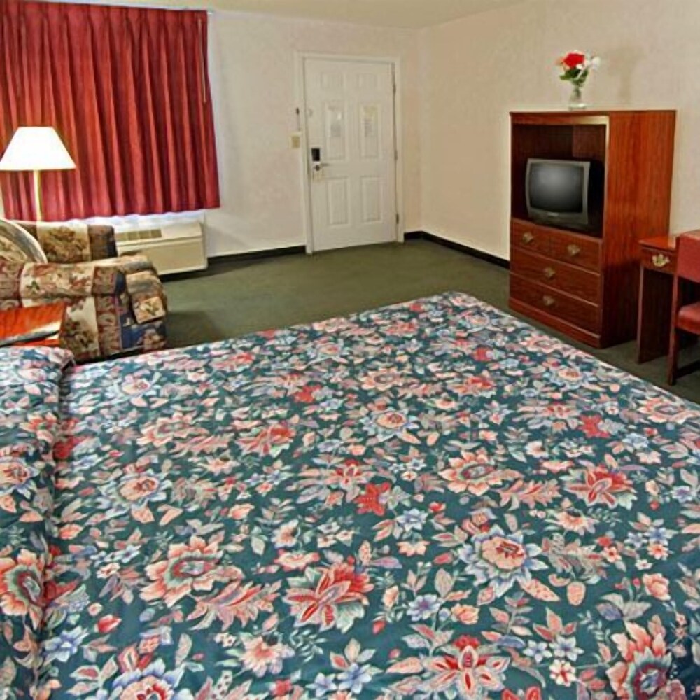 Shelaine Inn - photo 7