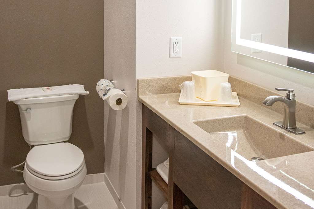 Comfort Inn Sioux City South - photo 35