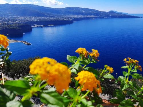 Bella Vista House Sorrento coast free parking solarium — 4-Star Luxury Hotel in Vico Equense, Italy