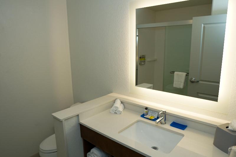 Holiday Inn Express & Suites Denver Aurora Medical Campus by IHG - photo 17