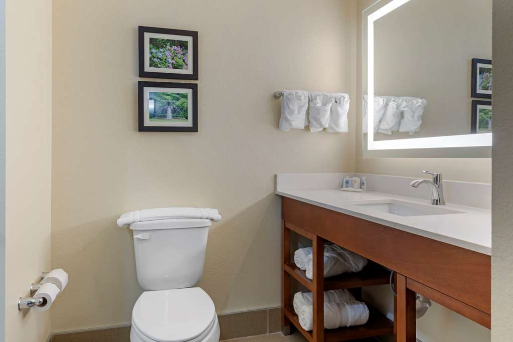 Comfort Suites West Monroe near Ike Hamilton Expo Center - photo 25