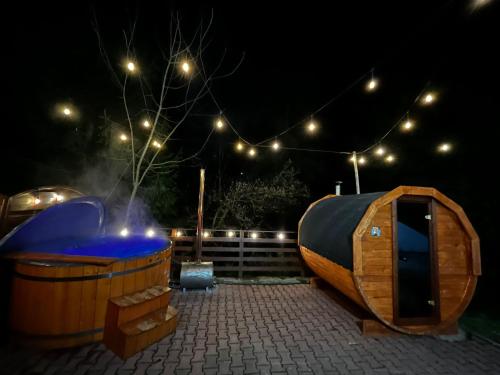 Willa Zielony Świat in Miedzybrodzie Bialskie, Poland