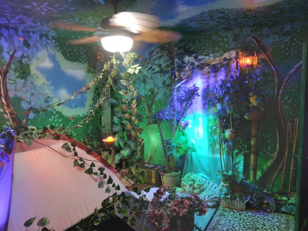 Earthovision Manor - photo 10