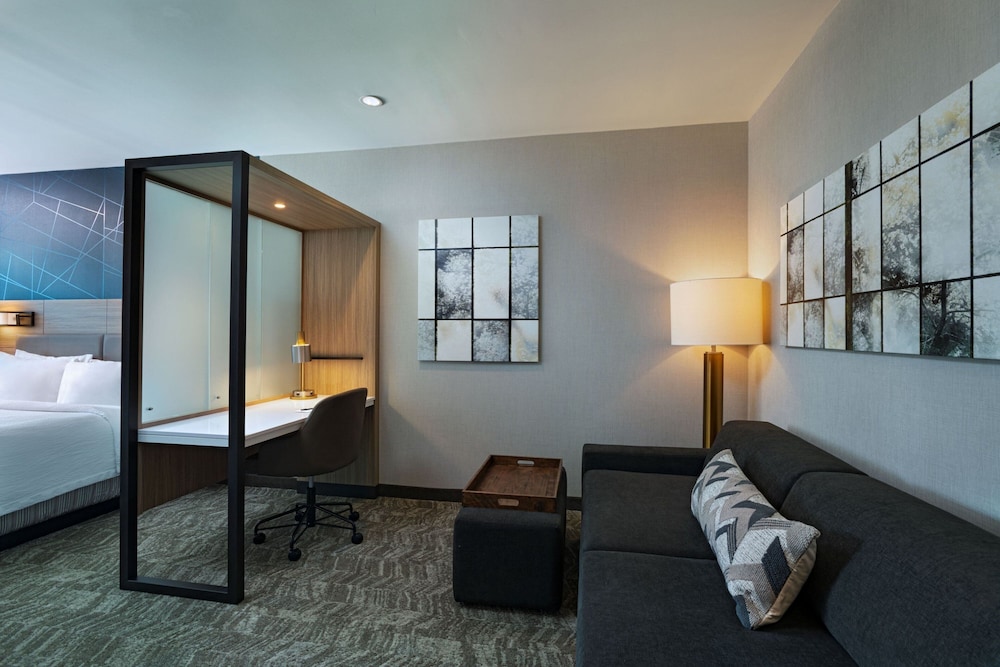 SpringHill Suites by Marriott Austin North - photo 9