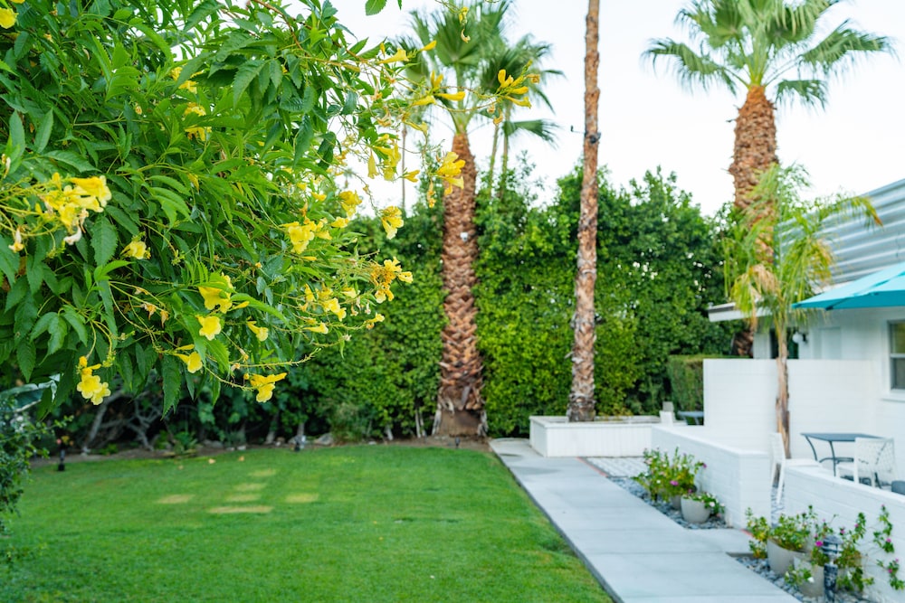 BelleVue Oasis Palm Springs Adults Only - photo 42