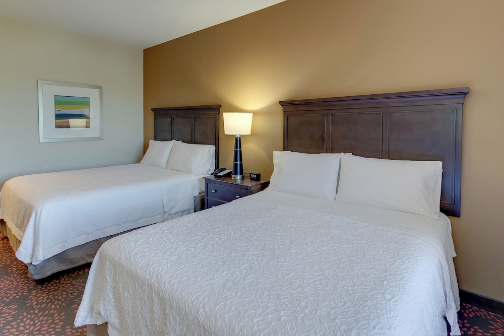 Hampton Inn & Suites Hartsville - photo 7