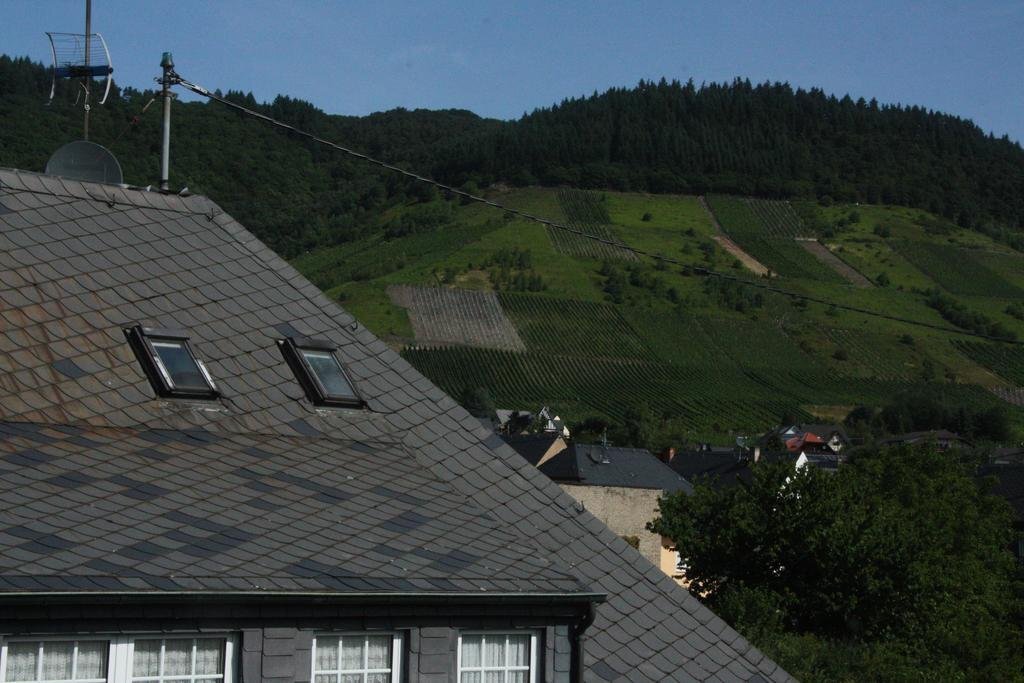Weingut Knodt Trossen — Krov — photo 3