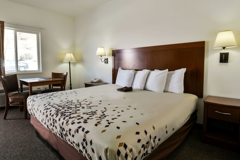 Adventure Inn & Motel - photo 18