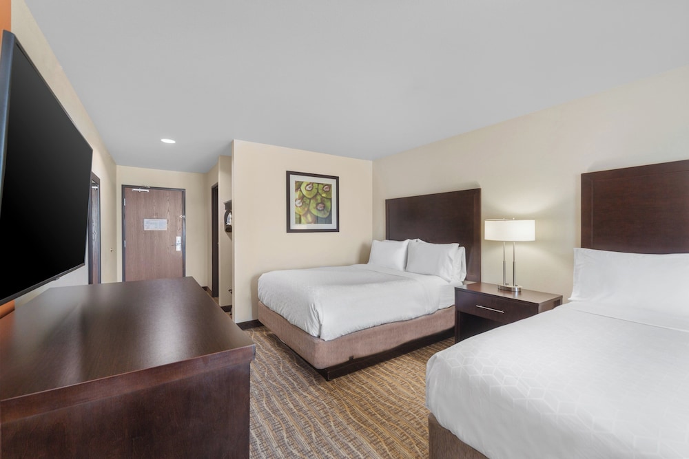 Holiday Inn Express & Suites Houston NW Tomball Area by IHG - photo 28