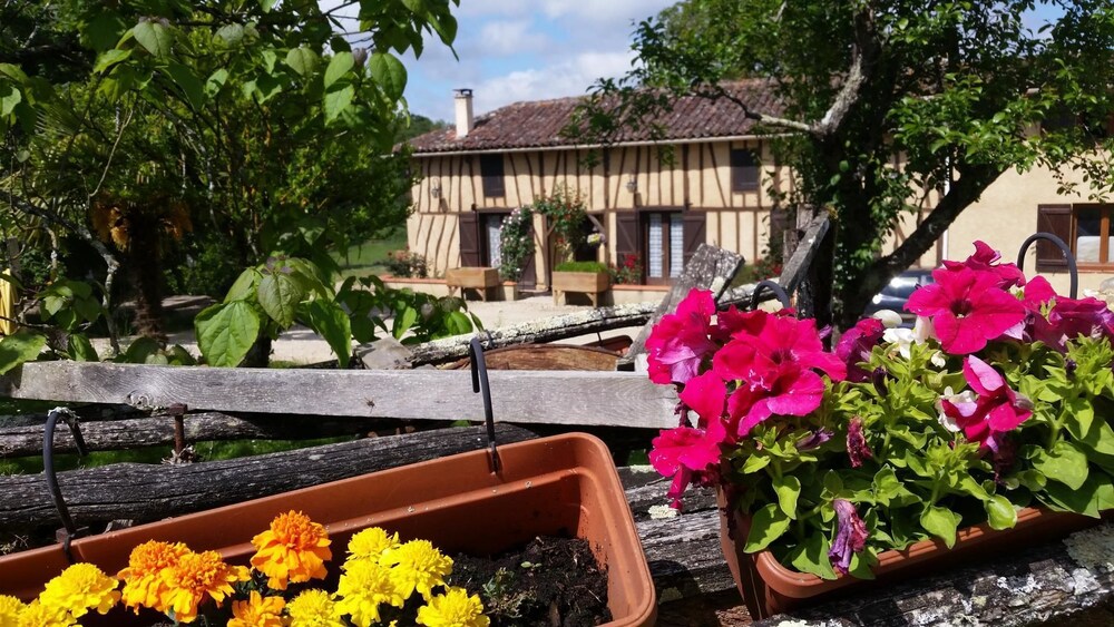 Au Petit Bernerot — Eauze