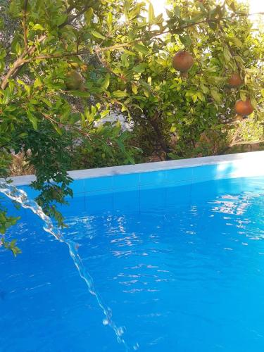 Gizli bir Cennet - last minute hotel in Antalya