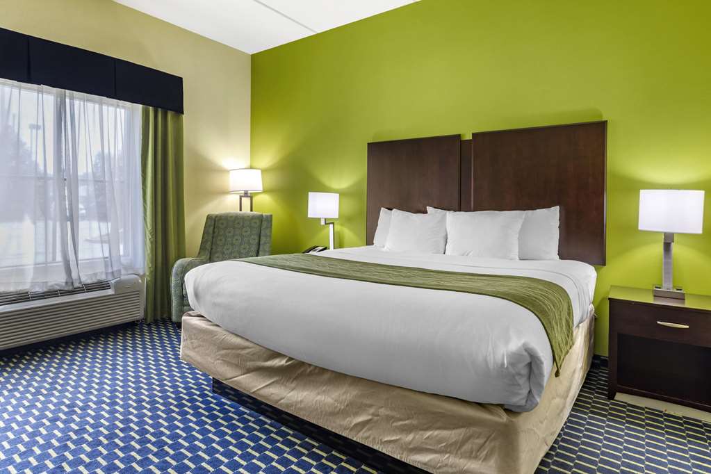 Comfort Inn Athens - photo 11