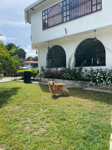 Villa Gabritali — La Mesa — photo 5