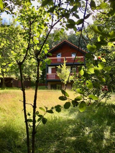 Ferienhaus Rhöner Wohnen — hotel in Hilders