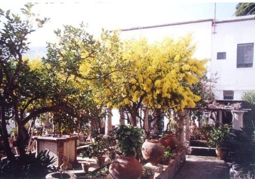 La Certosella in Capri, Italy