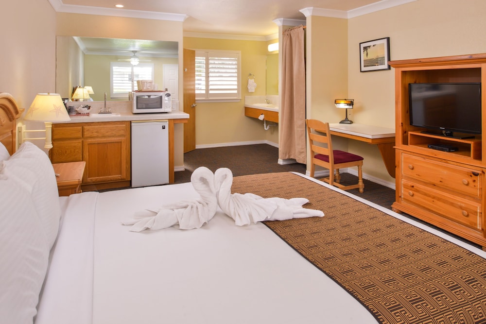 Cayucos Beach Inn - photo 10
