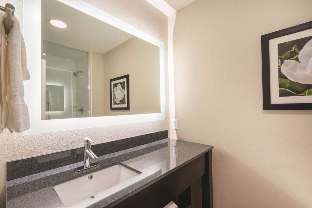 La Quinta Inn & Suites by Wyndham Memphis Downtown - photo 13