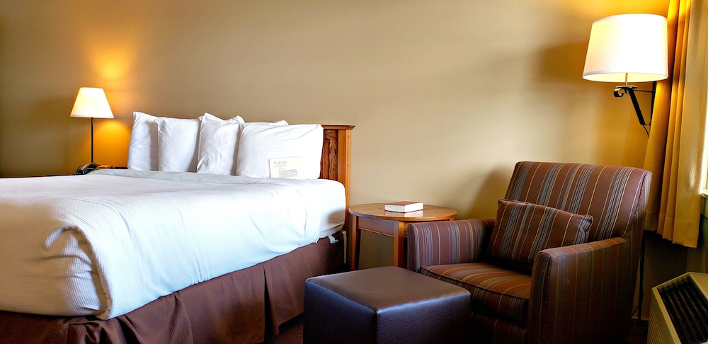 Berlin Heritage Inn - photo 22