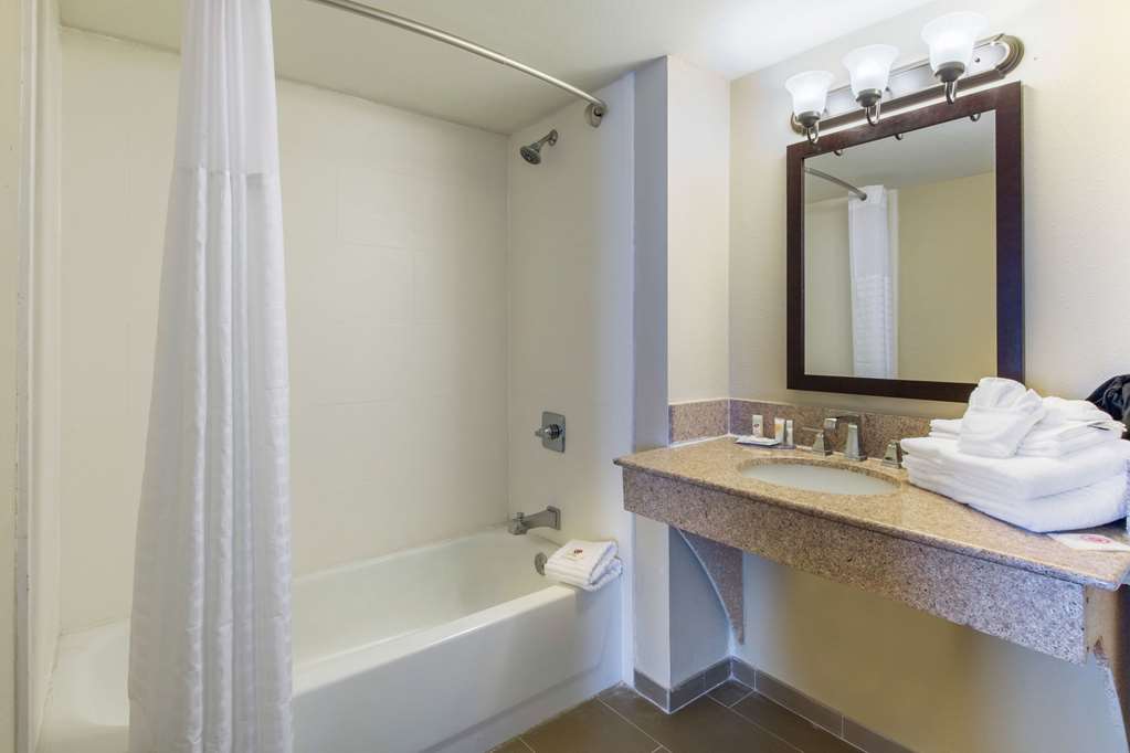 Comfort Inn & Suites SW Houston Sugarland - photo 15