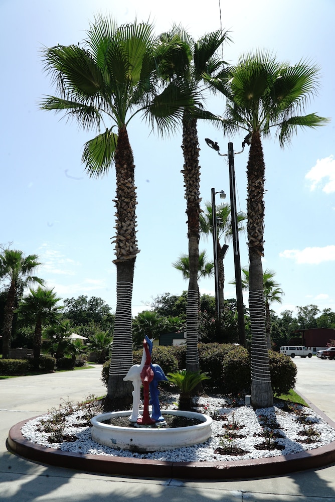 Savannah Inn and Suites - photo 24