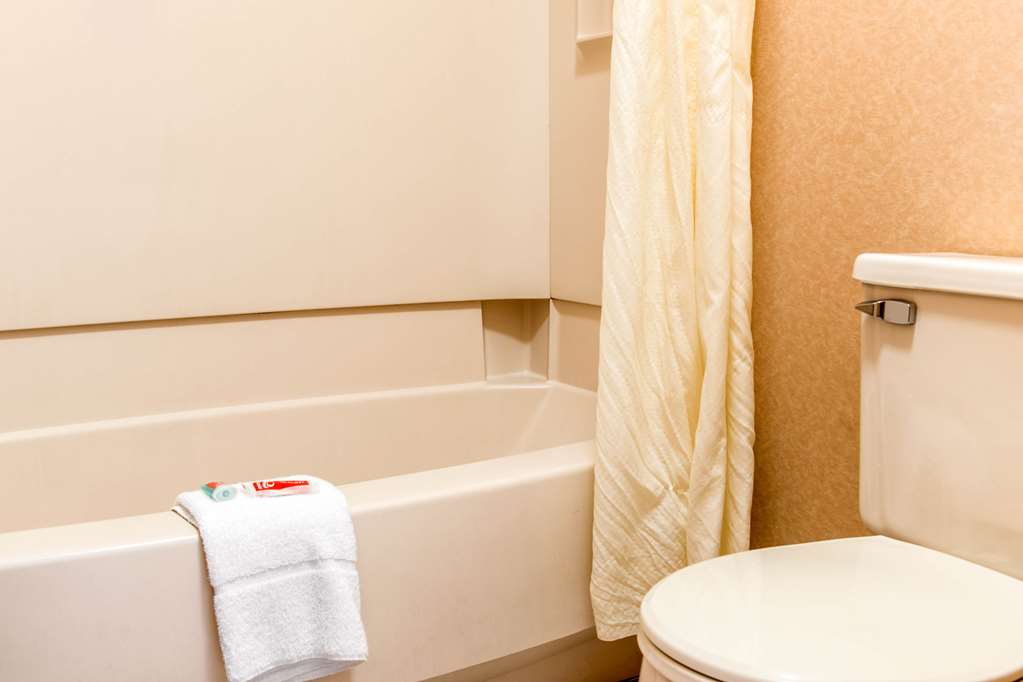Econo Lodge Holland Toledo - photo 30