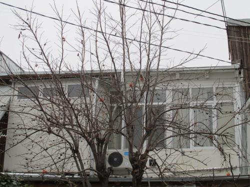 Apartment Avlabari