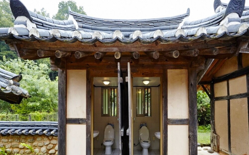 Chungju Wildflowers and Gotaengnadeuri in Waegwan, South Korea