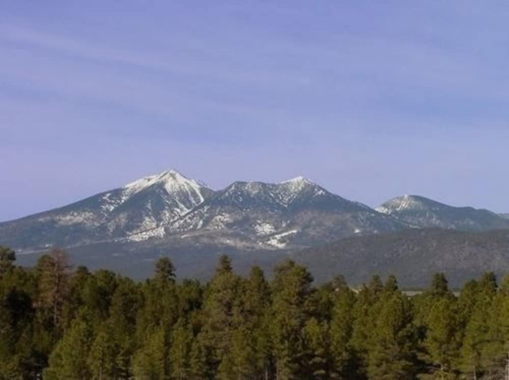 Arizona Mountain Inn and Cabins - photo 336