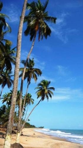 Brenu Beach Lodge