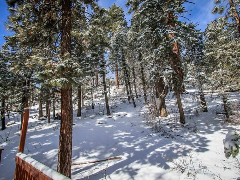 Bears Eye View Steps to Bear Mountain Ski Resort - photo 49