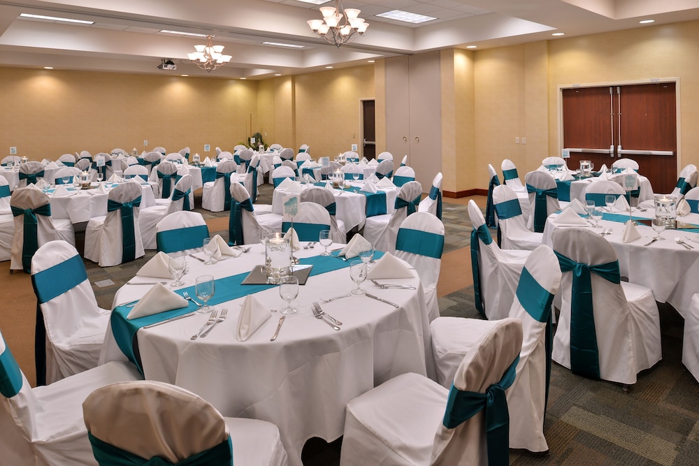 Holiday Inn Madison at The American Center by IHG - photo 48