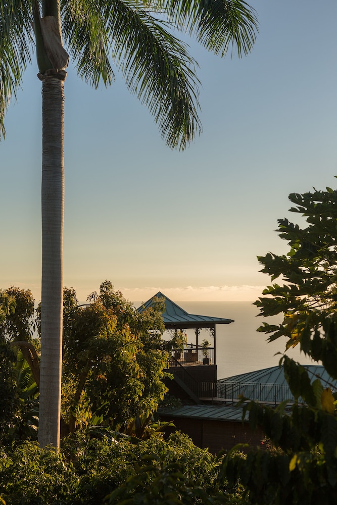 Holualoa Inn - photo 55