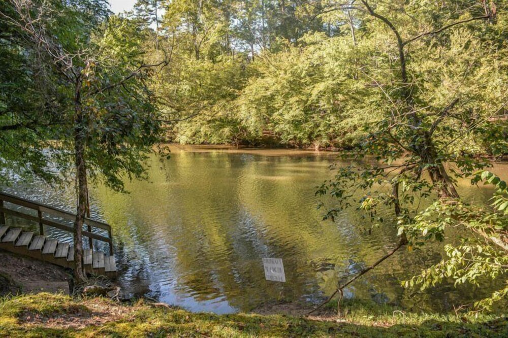 Harleys River Retreat Charming Cabin in Coosawattee River Resort Hot tub Ellijay - photo 18