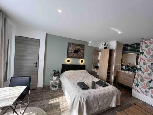 Cosy Studio L'eclipse Balneo — hotel in Tassin-La-Demi-Lune